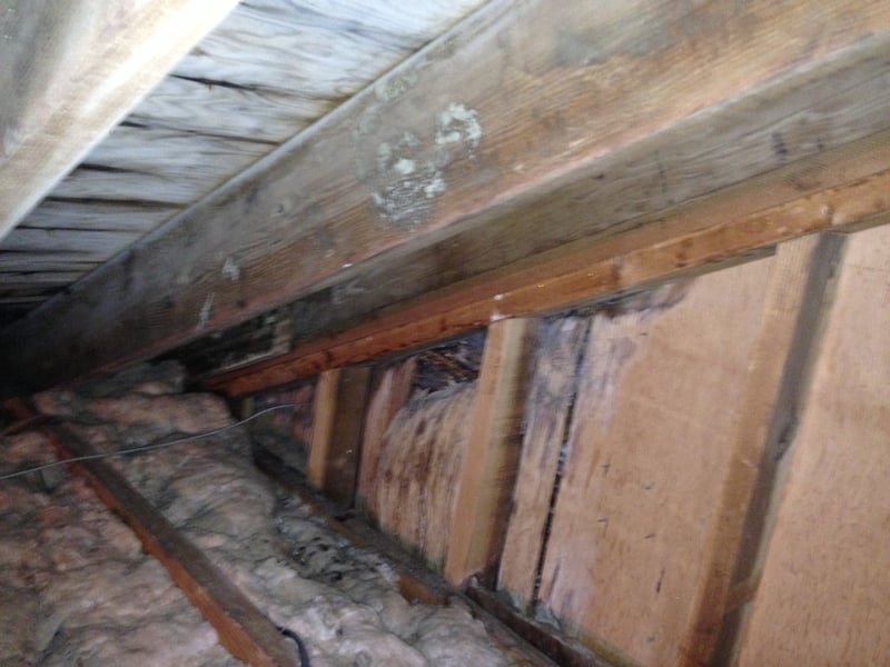 Mold Prevention Tips